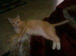 Oyen full length-thinner version