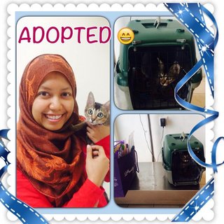 Adopted!!