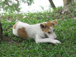 Resting on the cool grass