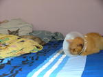 aiyo.. where u mummy wanna sleep.. they get along much better now than before 