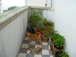 helping mama gardening