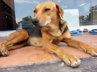 Lady relaxing outside a shop.