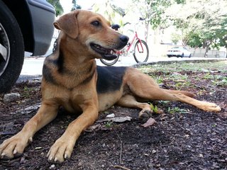 Lady relaxing after roaming the streets.