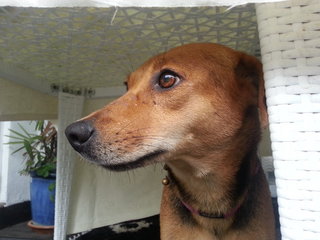 Lady watching the rain.