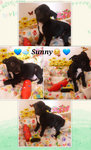 ♡ Sunny ♡ ( Video-toilet Trained ) - Mixed Breed Dog