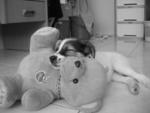 i <3 my teddy...