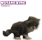 Musang King - Ragamuffin Cat