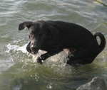 A dip in the lake