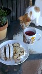 loves to explore (breakfast) tables