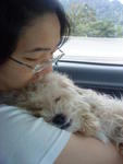 sleepin in d car...