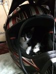 Jack Jr in helmet