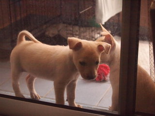 This is Mei mei.