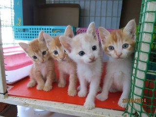 Roma (far right) with his siblings