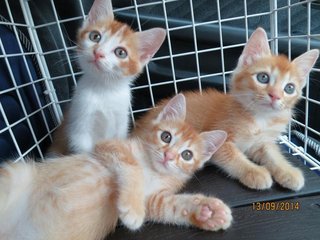 Roma (left) with his siblings