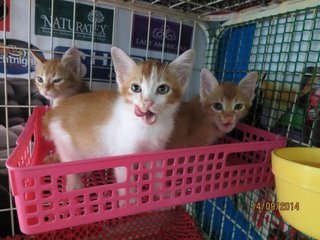 Roma (in front) with his siblings