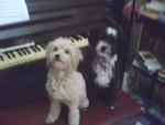 after 1st haircut~ lol~ posing in front of piano~