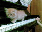 Nome'e playing piano too