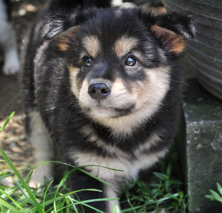 Fluffy little me, all good today!