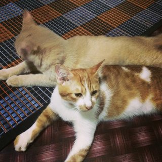 With his brother - Oyen