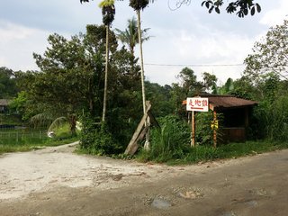 This is the shelter where Tango stayed inside