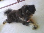 Lazing..