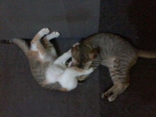 Kecik & kakak