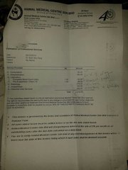 Medical bill