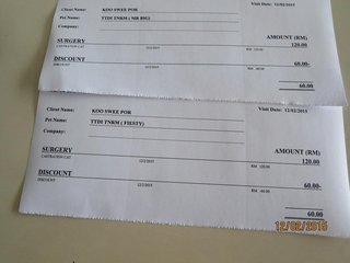 Vet receipts for neutering Mr Big Purr and his brother (RM60 each)