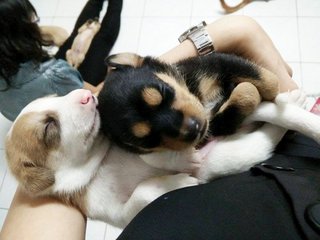 Sleeping together~~~Sweet dream:))