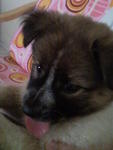 TenTen @ 2 months old