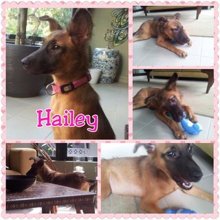 Hailey Now- Happy & Healthy