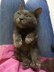 1st day when he is with us, can you believe he is ad 1 year old?