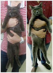 i'm huge