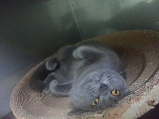 I'm like a snake when i stay in my favourite sleeping pot..