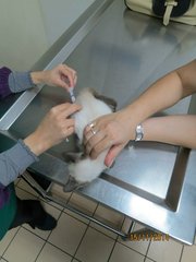 2nd vaccination on 13 December 2014