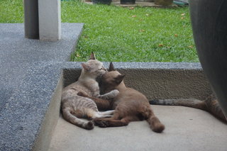 Caring for her brother Luca