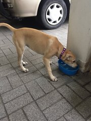 Hot weather, drink more water