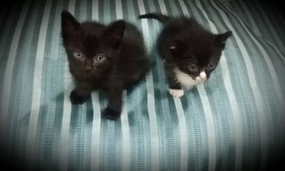 When only they were 1month old