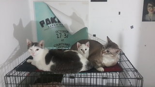 Me and Ma Niggas.. :D