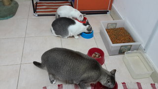 Lunch time :O nom nom nom