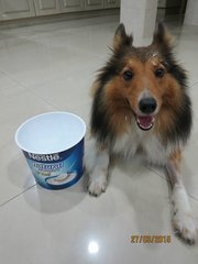 Loves yogurt. Um, to eat, not as a face mask. :D