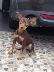 Hello.. I'm MinPin..