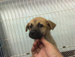 bring me home pls!!