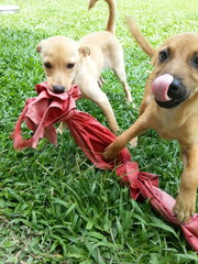 Play Time!
