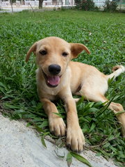 Hello!
