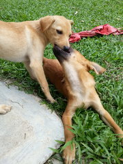 Play!