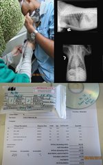 Full blood test, x-ray & 1-month doxy medication - vet bill: RM315.70