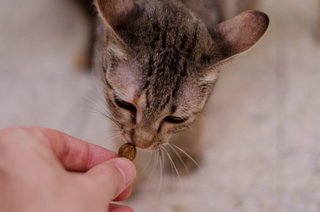 Oh yeah, that smells good, yum, yum, yum...