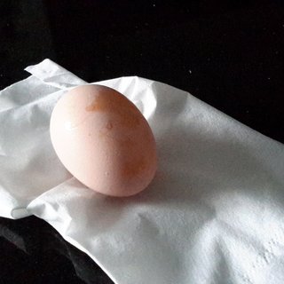 Marble's first egg