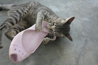 Now I know why those shoes full of holes..